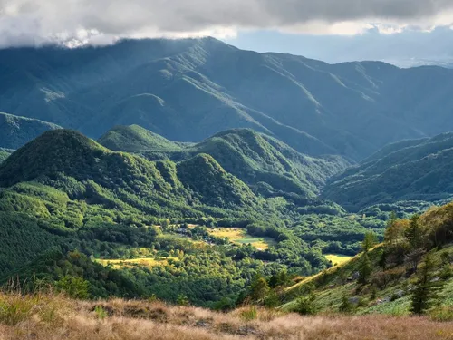 Valley beneath Utsukushigahara - From Hiking path, Japan