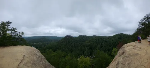Natural Bridge State Resort Park - Aus Lookout Point, United States