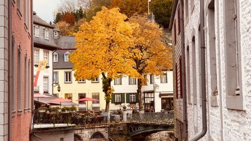 Oude binnenstad Monschau - İtibaren Binnenstad Monschau, Germany