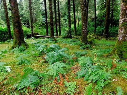 Auf der grünen Insel - Ireland
