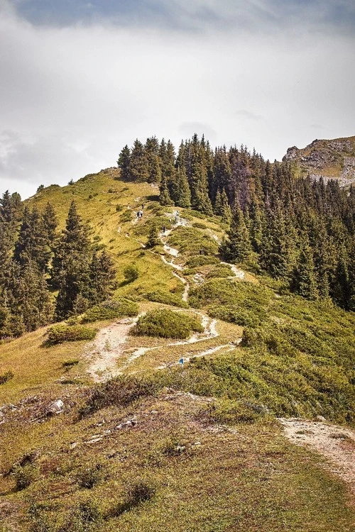 Vysotnyye Kacheli - Aus Trail, Kazakhstan