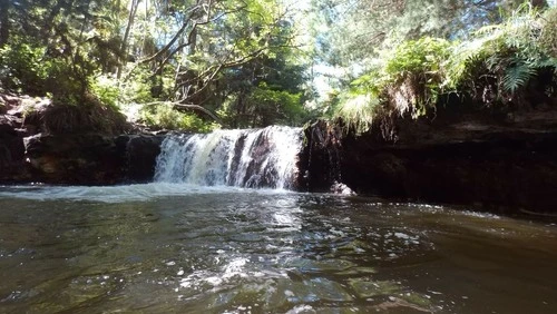 Kerosene Creek - New Zealand
