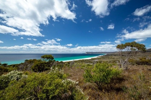 Friendly Beaches - From Friendly Beaches Viewing Point, Australia