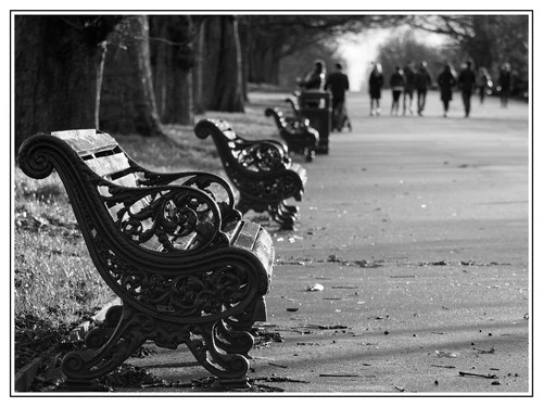 Regent's Park, London - From Outer circ, United Kingdom