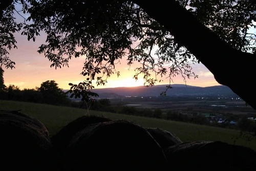 Gau-Algesheim - Da Schieferberg, Germany