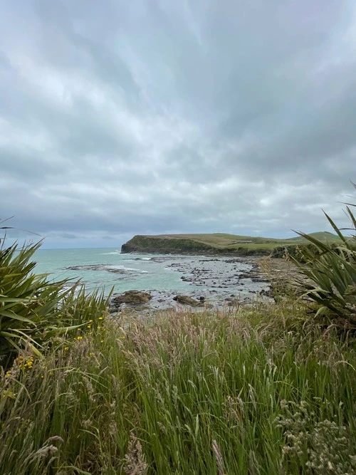 Curio Bay - Van Camping Ground, New Zealand