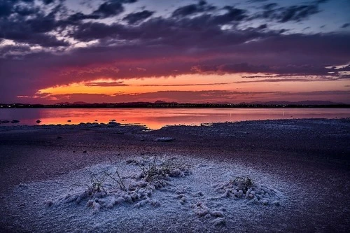 Salinas de Torrevieja - Spain