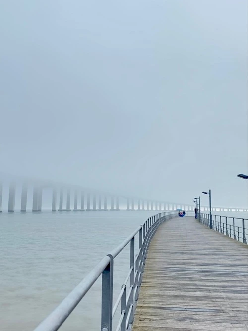 Vasco da Gama bridge and Fisherman - Van Walkway, Portugal