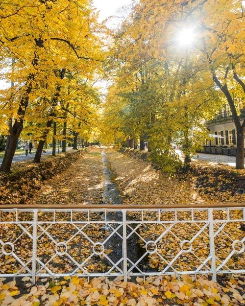 Most Matematike - من Vrnjačka Banja, Serbia