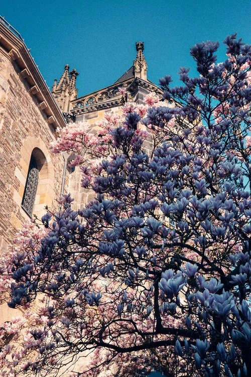 Aachener Dom - Aus Altstadt Aachen, Germany