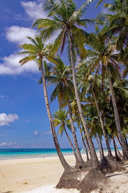 Boracay Island Beach - From Boracay Nation, Philippines