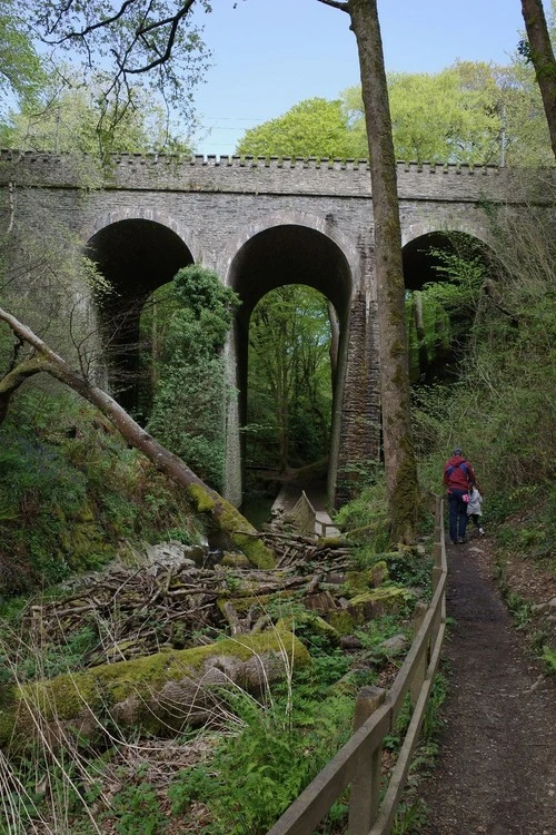 Electric Tram bridge - Desde Groudle Glen, Isle of Man