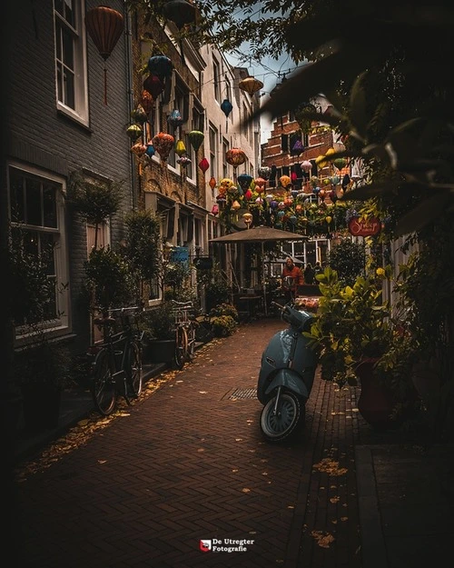 Reigerstraat - Netherlands