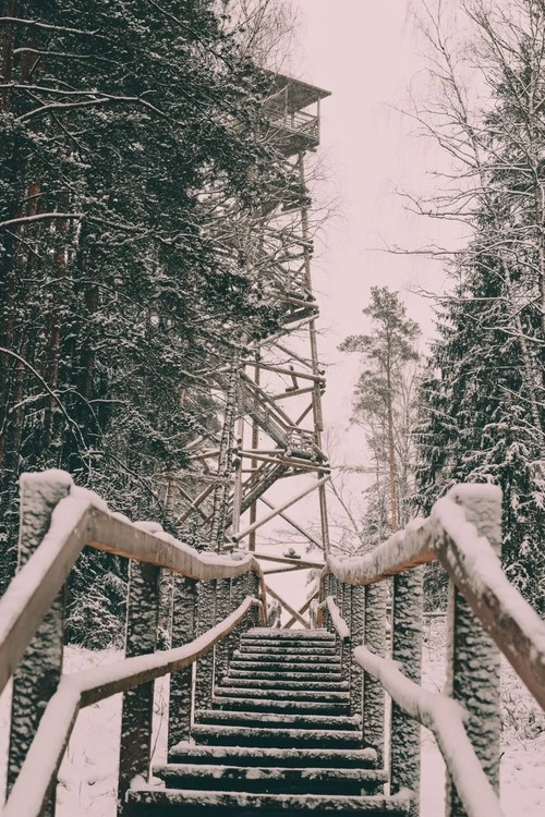Ogres Zilo kalnu skatu tornis - Z Below, Latvia