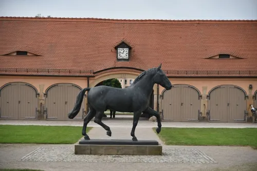 Landgestüt Moritzburg - Aus Courtyard, Germany