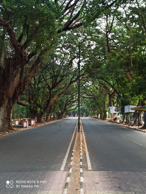Dayanand Bandodkar Marg - Desde Prince Henry The Navigator Memorial Park, India