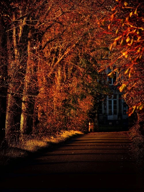 La Phalecque - Depuis Rue Paul Brame, France