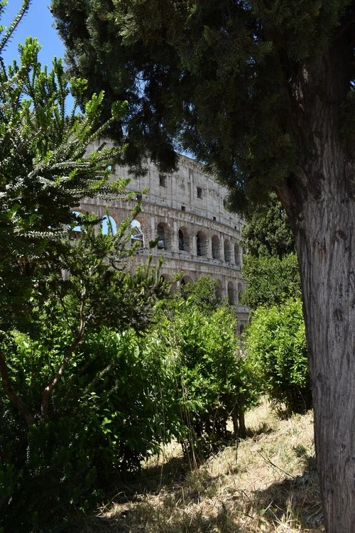 Colosseo - From Via Nicola Salvi, Italy