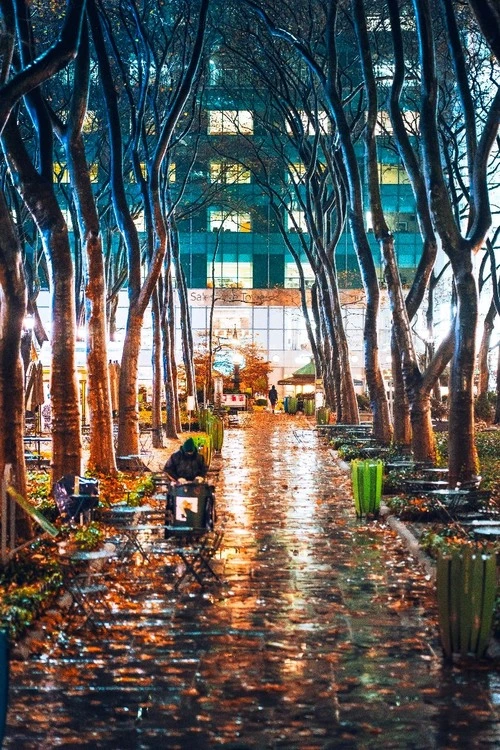 Bryant Park - United States