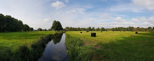 Natur pur / Spreewald Idylle - Depuis Waldgraben / Weg, Germany