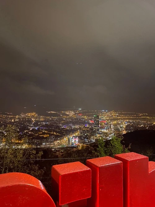 Bilbao Skyline - From Fingerprint Sculpture, Spain