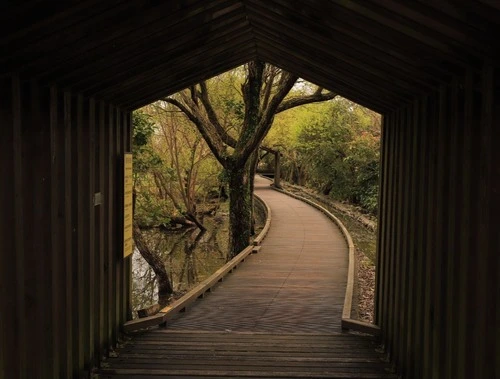 Luodong Forestry Culture Park - Taiwan