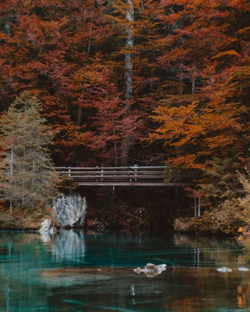 Blau Lake - Da Spielplatz Blausee, Switzerland