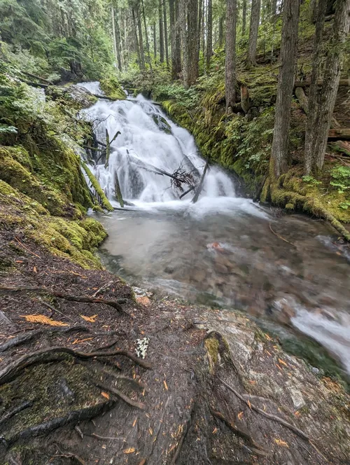Little Zigzag Falls - United States