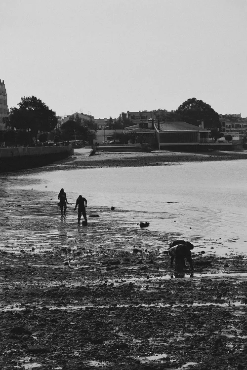 Passeio do Tejo - Portugal