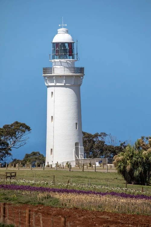 Table Cape Lighthouse - Dari Lighthouse Rd / C234, Australia