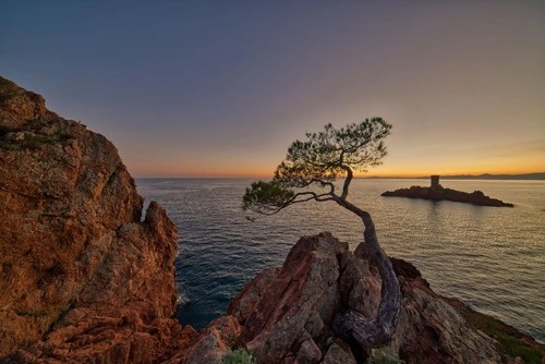 Île d'Or - Desde The Lone Tree, France