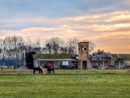 Bischwiller's Fields - France