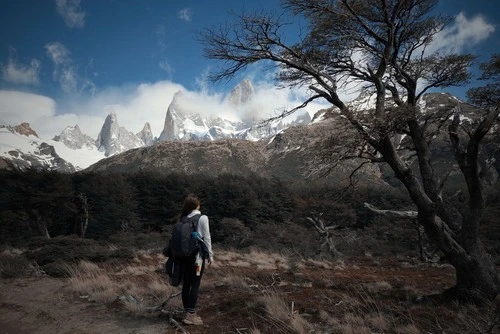 Fitz Roy - Desde Area Campamento Poincenot, Argentina