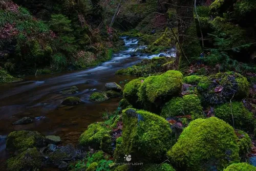 Ravenna Gorge - Germany