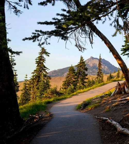 Hurricane Ridge Park - Aus Cirque Trail, United States