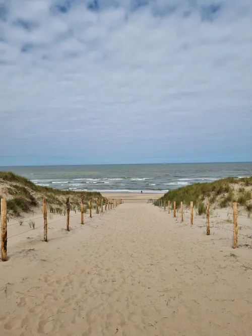 Bodhi Beach - Netherlands