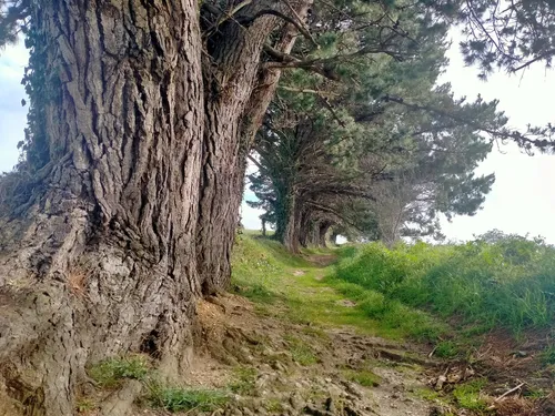 Camino a Playa Mendía - Spain