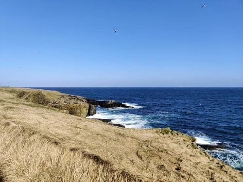 Odin Bay - United Kingdom