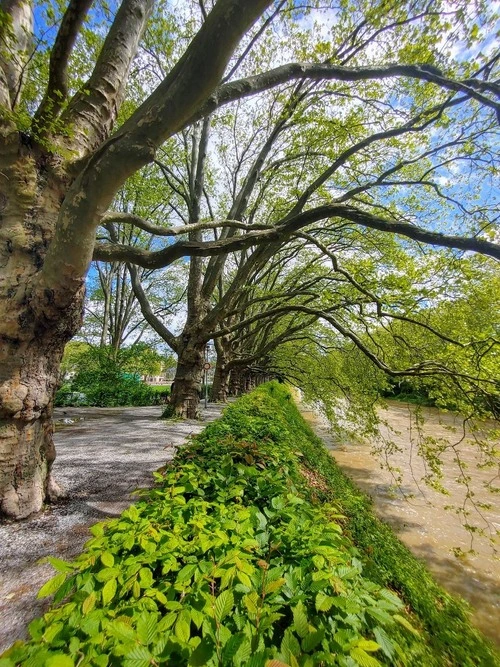 Sihl River - From Spielplatz, Switzerland