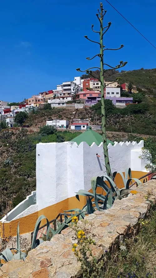 Morabito Sidi Bel Abbas - Spain