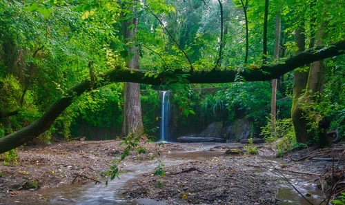 Cascada De Molins De Rei - Desde River, Spain
