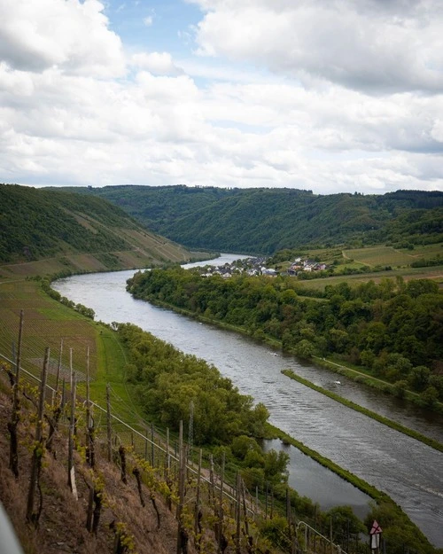 Mosela River - From Viewpoint, Germany