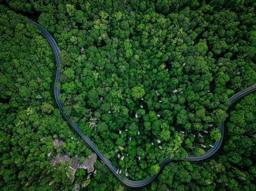 Winding Mountain Road - Dari Drone, United States