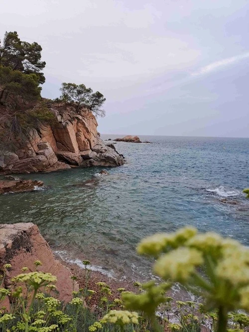 Cala Llevadó - Dari Beach, Spain