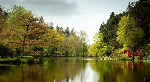 Parc Oriental de Maulévrier - From The big bridge, France