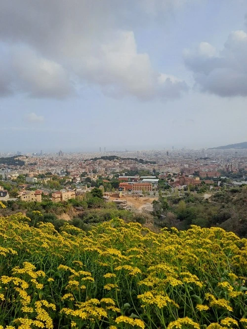 Barcelona - From Camí de Can Borni, Spain