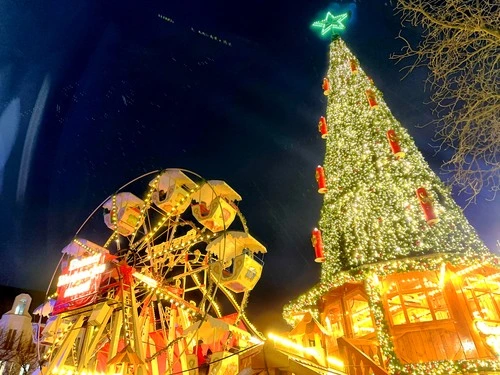 Bonner Weihnachtsmarkt - Von Münsterplatz, Germany
