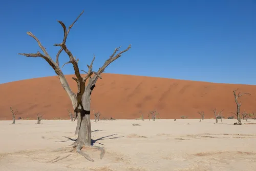 Fairy Circles Sossusvlei - Da Approximate Area, Namibia