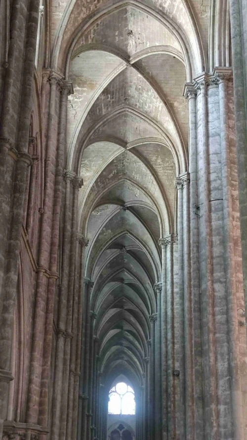 Cattedrale Saint Etienne - 에서 Inside, France