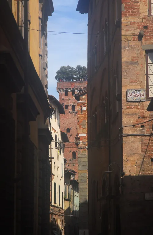 Guinigi Tower - من Via Sant'Andrea, Italy